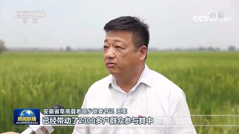 【走进乡村看小康】宜游宜业幸福长
