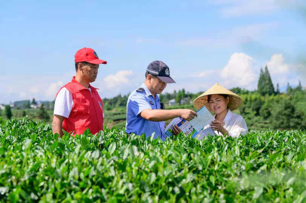 创“枫”进行时|雅安名山百丈派出所：“茶源义警”发扬基层自治 立体防控护民安_fororder_茶源义警和民警给群众进行宣传-供图-雅安市公安局
