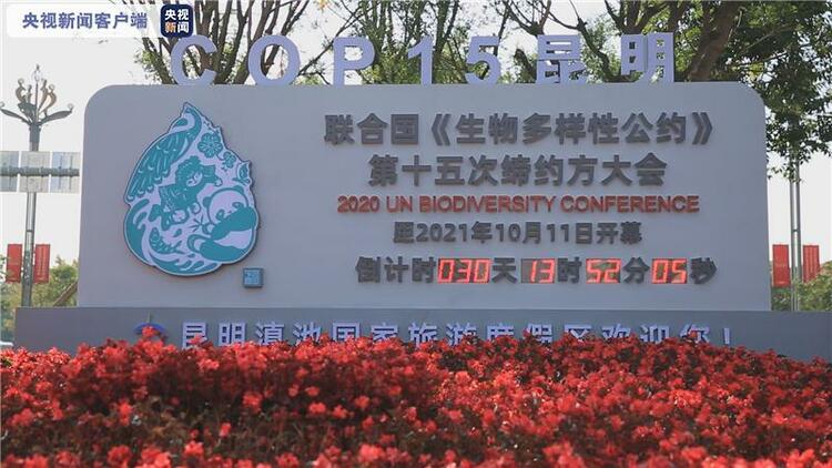 倒计时30天！联合国《生物多样性公约》第十五次缔约方大会各项筹备工作有序推进
