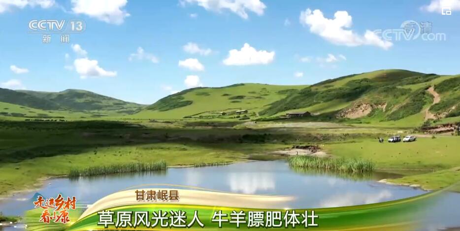 走进乡村看小康 | 甘肃岷县：草原风光迷人 牛羊膘肥体壮