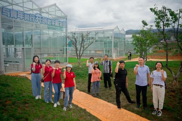 拼多多公开的隐秘：“重投农业”_fororder_b