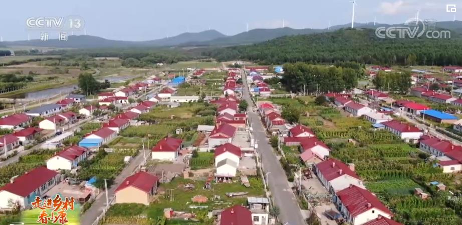 【走进乡村看小康】黑龙江同江：安居、宜居、乐居 小渔村变化大、幸福来人人乐