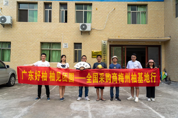 广东梅州蜜柚进入成熟期  预计今年产量达50万吨_fororder_梅州柚子（图片均由南农摄制组提供）