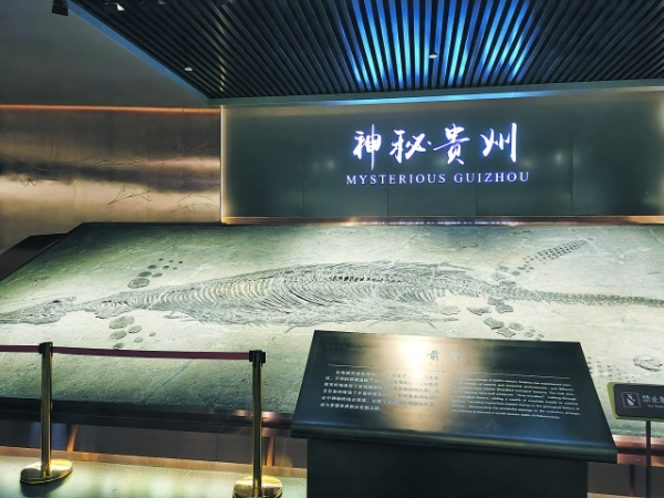 （中首）贵州省地质博物馆—— 承载地质文明 讲述远古贵州