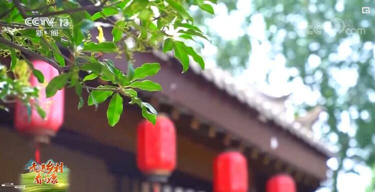 【走进乡村看小康】陕西南堡寨村：悠悠终南山下 品味乡村惬意