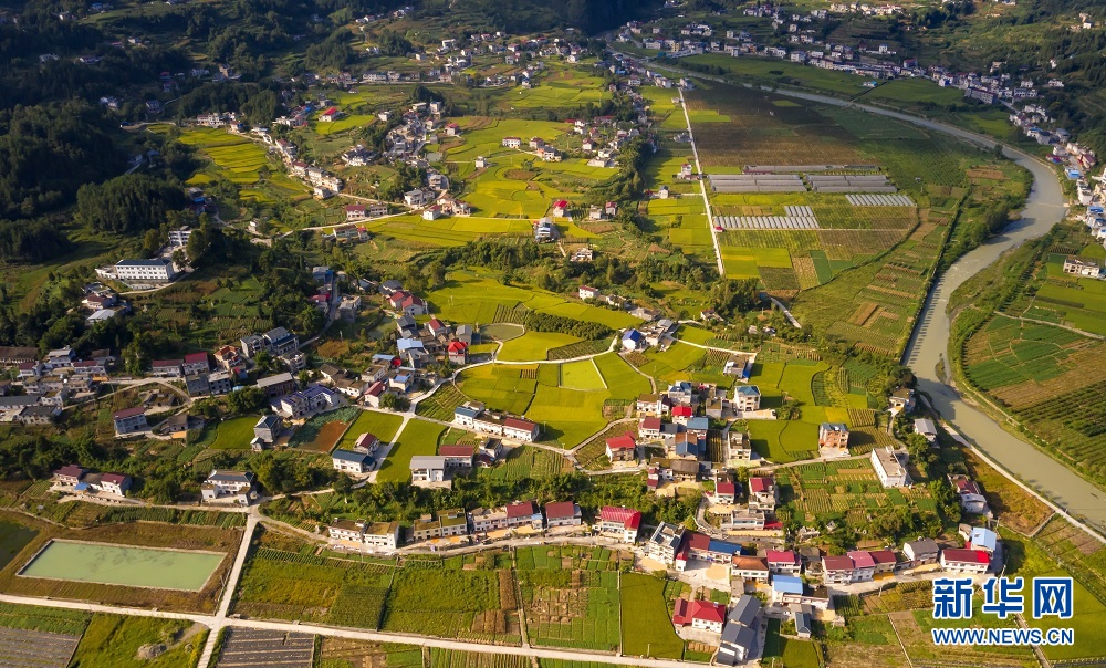 湖北建始：夕照白云村 山野尽染秋