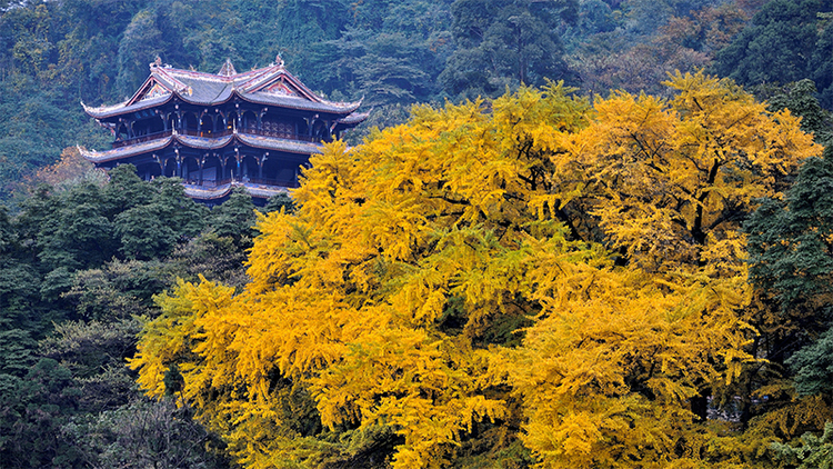 “双节”醉金秋 都江堰发布四条秋季精品旅游线路_fororder_都江堰景区图-供图-都江堰市委宣传部