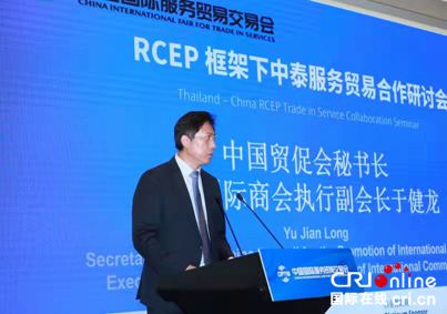 “RCEP协议框架下中泰服务贸易合作研讨会”在京举行_fororder_yl20210904012