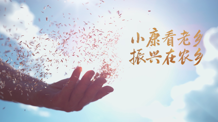 丰收，从哪里开始？