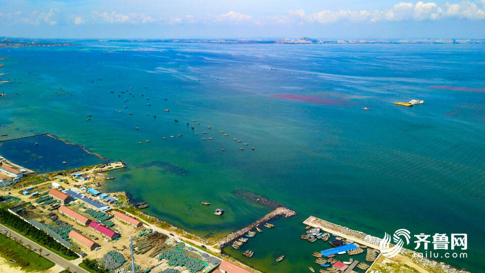 诗画山东丨海草房畔 凭海而耕 威海东楮岛唱响水上牧歌