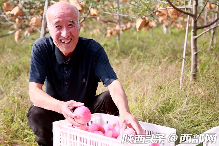 （转载）陕西宜君果农用2000多个苹果造“火箭”庆丰收 喊航天员吃苹果_fororder_ae35e6c888b23dee4379afc7534f195e