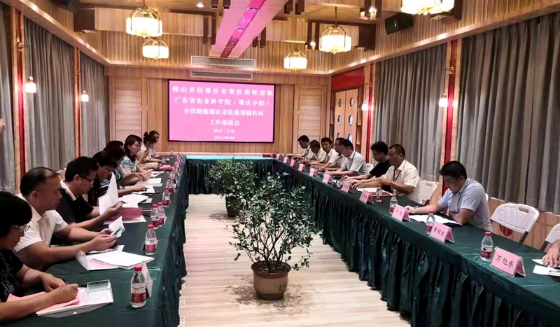 108名博士专家结对32个镇助力广东乡村振兴_fororder_1