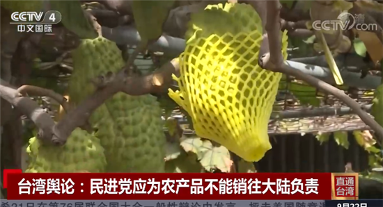 “干啥啥不行，摆烂第一名”（两岸观察）_fororder___172.100.100.3_temp_2_1_2_1_6012_55c63b95-9e41-4d57-8d84-48a0b7b74084