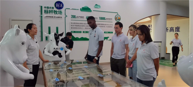 问道秦东工业倍增“经开密码” 十国青年走读镶嵌在产业链上的乡村振兴故事_fororder_图片90