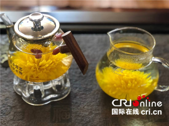 （生物多样性系列稿件）云南嵩明：小种苗 大舞台_fororder_虹花园艺有限公司生产的菊花茶