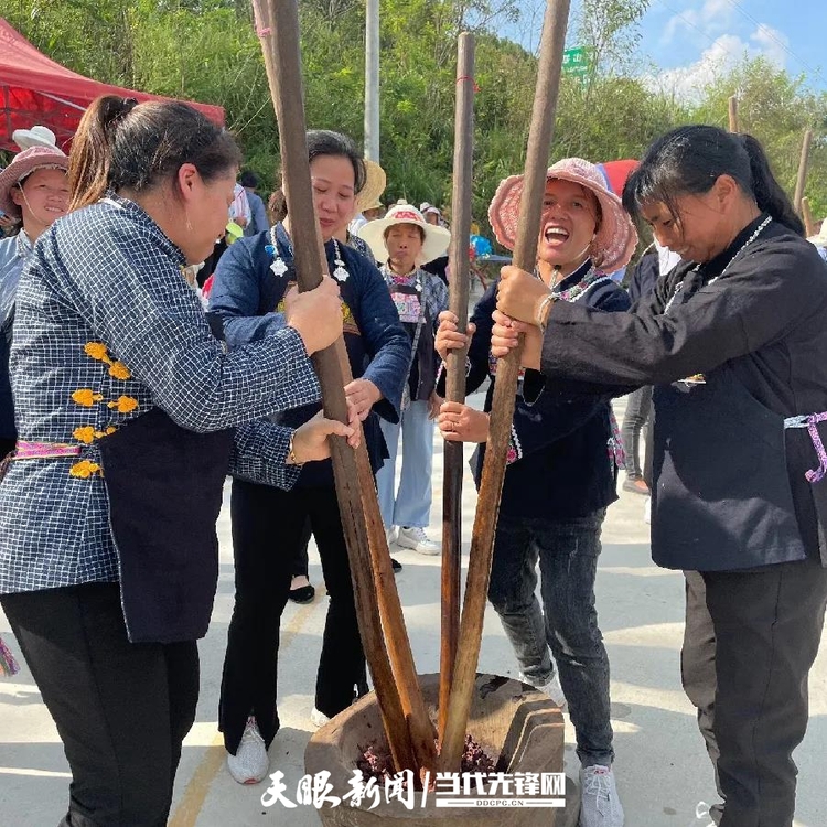 （中首）稻花香里说丰年 来黔南荔波赴一场丰收之旅