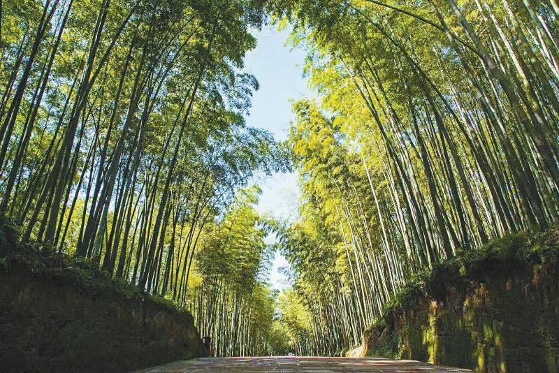 （中首）黄金周来四川玩 “安逸走四川”有这些“新姿势”