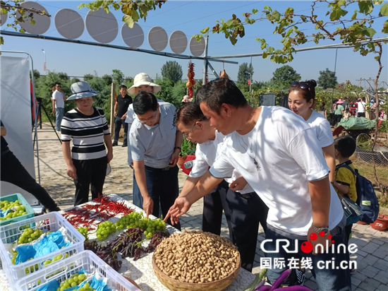 平顶山高新区举办中国农民丰收节系列活动_fororder_image001