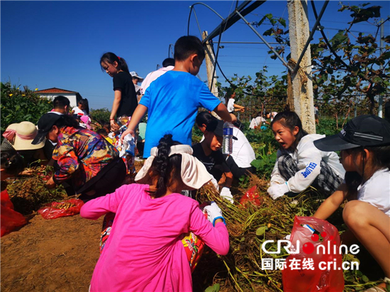 平顶山高新区举办中国农民丰收节系列活动_fororder_image005