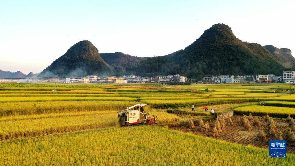 贵州：丰收图景