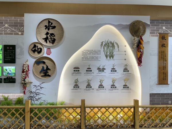 （转载）江油市战旗镇发展村集体经济 激活乡村振兴“一池春水”