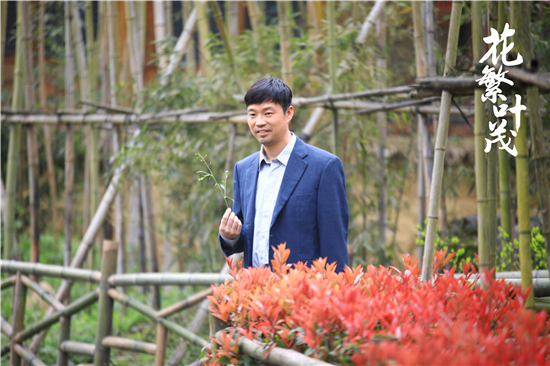 OK(供稿 文体列表 三吴大地南京 移动版)电视剧《花繁叶茂》正在热播