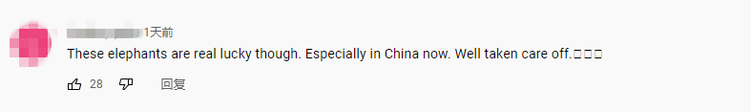 云南千亩大象“食堂”开张 海外网友：真是一个好主意！_fororder_5