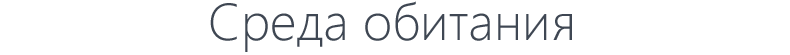 Среда обитания_fororder_俄文003