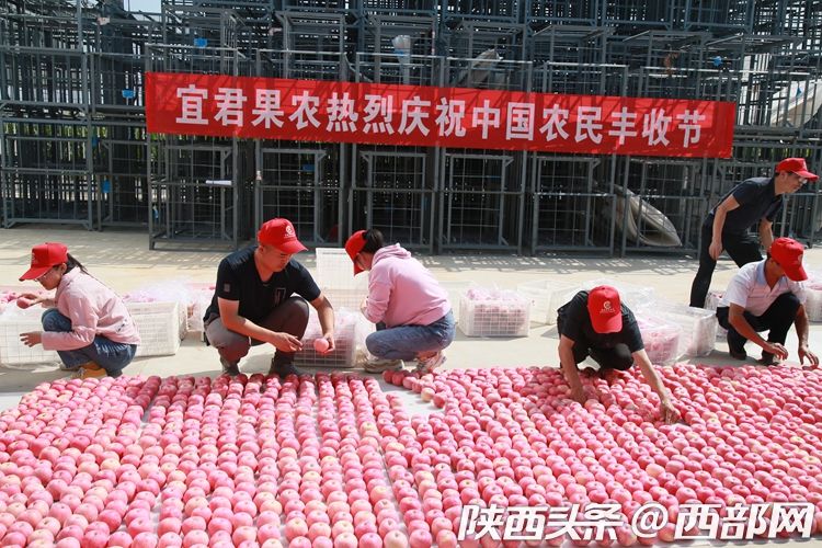 （转载）陕西宜君果农用2000多个苹果造“火箭”庆丰收 喊航天员吃苹果_fororder_e01d64cdf140a81d0b8142f9d5c6f1c9