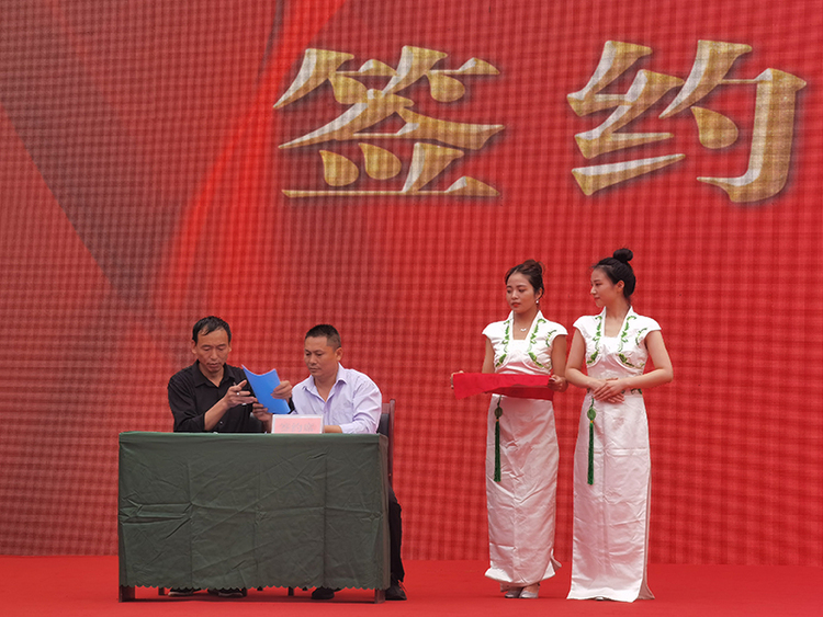 广元苍溪：猕猴桃硕果满枝 共绘丰收美景_fororder_集中签约仪式-(2)