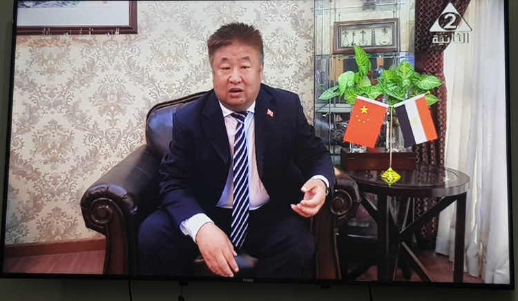 图片默认标题_fororder_石岳文接受埃及国家电视2台采访