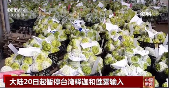 “干啥啥不行，摆烂第一名”（两岸观察）_fororder___172.100.100.3_temp_2_1_2_1_6012_86400061-aa59-49d5-846c-ff4e9d79b93f