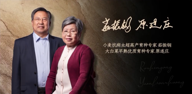 从“朗读者”身上感受中国共产党人的精神