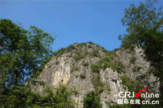 广西渠楠白头叶猴社区保护案例入选COP15“生物多样性100+全球典型案例”_fororder_图片3：渠楠石山   作者：程斌_副本