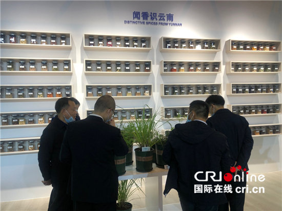 腊肠树、蒜头果、五色米……探访云南生物多样性保护实践与成果展_fororder_△云南蕴含丰富的香料植物，参展嘉宾在“闻香识云南”展区感受云南香料文化。