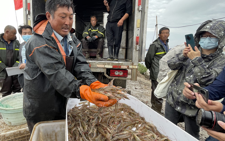 【原创】虾跃金秋庆丰收 2021第二届中国·滨州对虾节暨水产博览会开幕_fororder_61294e97caaa4551a31649c94c23d67