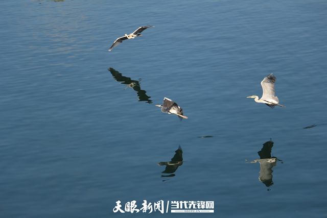 贵州：水边人盼水质好 环境美了生活好