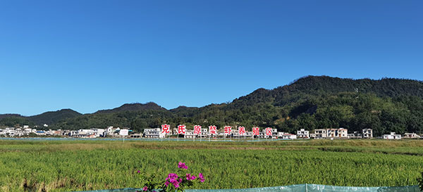 宜宾兴文县举办农民丰收节活动_fororder_稻虾养殖基地-摄影-高学兵