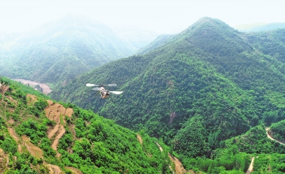 【中原名景-图片】【图说5】汝阳县飞播造林植就青山绿水