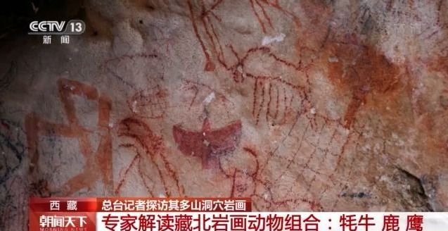 纳木错湖岸岩画中或有几百年前藏文档案？记者跟随科考队带你探访