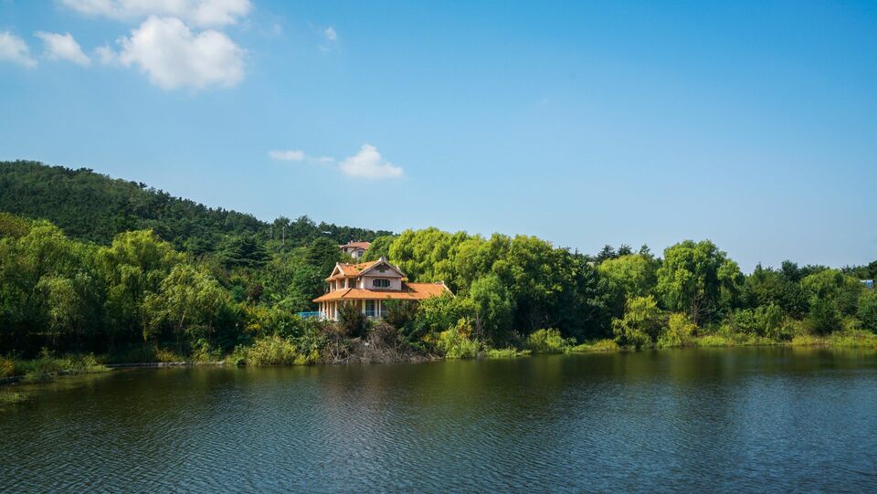 “森林氧吧”老虎山申请“出圈”