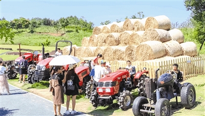 （中首）雪山下的公园城市 黄金周接待游客超1873万人