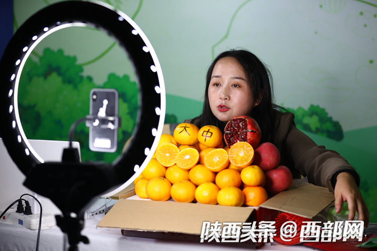 首届中国西部国际果业博览会开展 搭建果业交流合作大平台