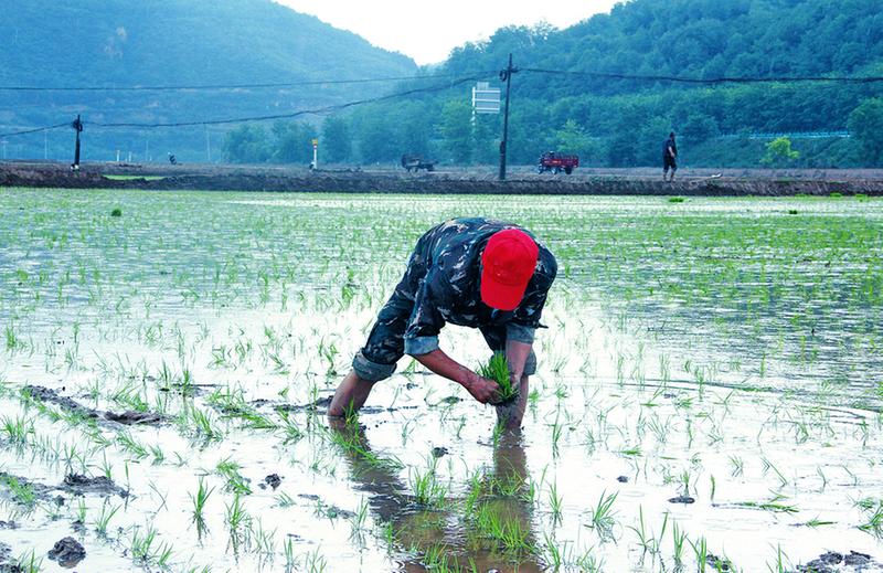 黄土高原上的“塞上小江南”