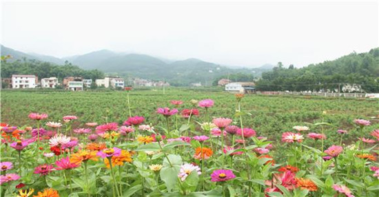 图片默认标题_fororder_f576f1c5-822e-498f-b40c-aa8f11b96c6a
