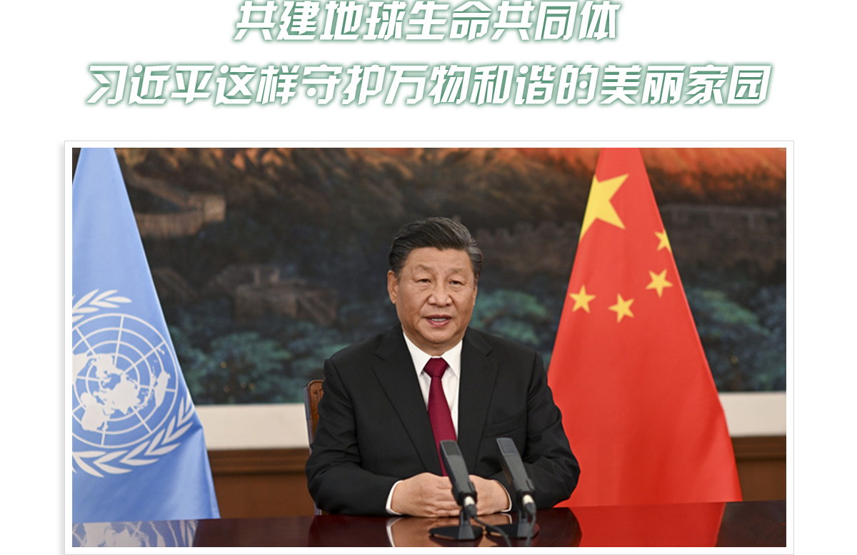 头图_fororder_PC