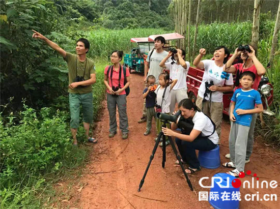 广西渠楠白头叶猴社区保护案例入选COP15“生物多样性100+全球典型案例”_fororder_图片5：巡护员、导赏员讲解白头叶猴  图片来源：美境自然_副本