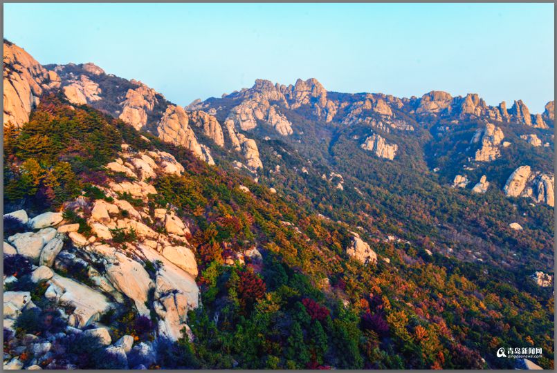 青岛：彩叶模式初迎高潮 周末去巨峰看五花山
