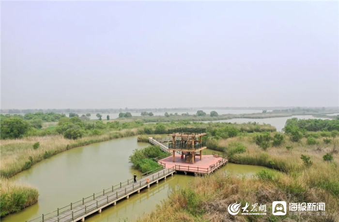 千车万人自驾游黄河口 在东营与美好相约
