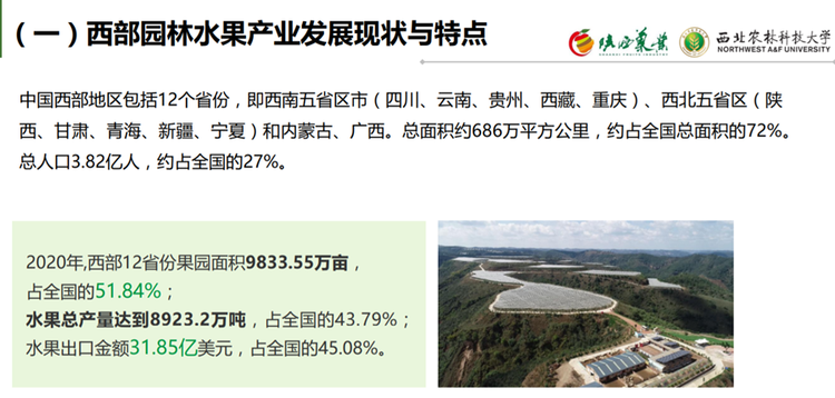 （转载) 首份西部水果产业发展报告：西部果园面积占全国半壁江山 多种水果产量第一